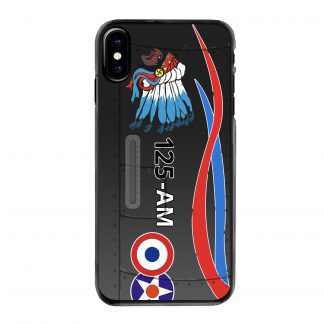 Mirage 2000 100 ans Lafayette