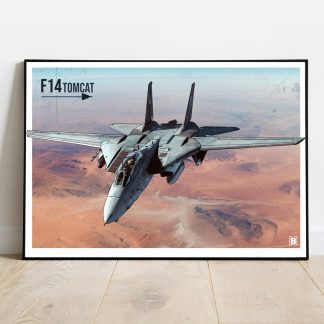 F14 Tomcat