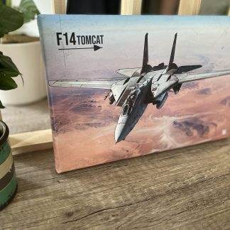 Toile F14 Tomcat